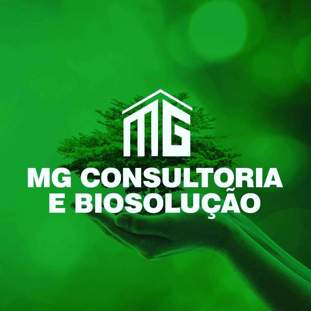 Imagem 38
